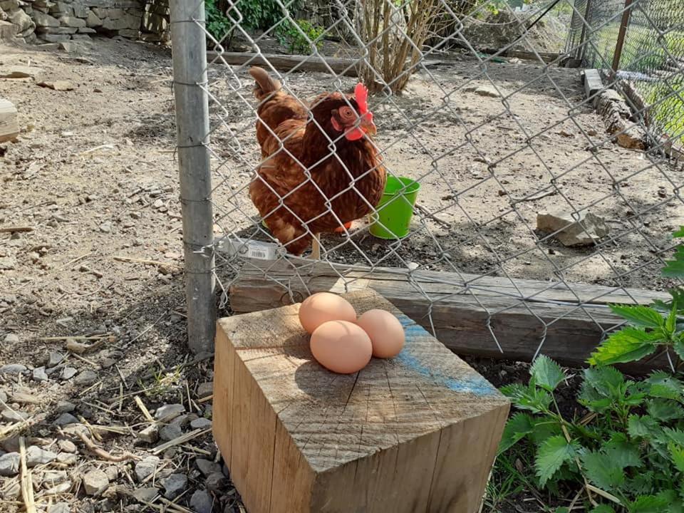 Penzion Mala Farma Nemojany Eksteriør bilde